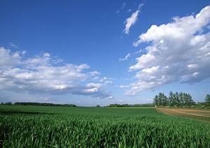 静岡県浜松市の家族葬に最適な富士葬祭 佐鳴台の特徴と概要