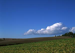 静岡県磐田市の安心で便利な葬儀場【富士葬祭 中泉】の特徴とサービス紹介