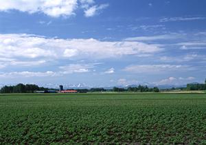 静岡県浜松市における家族葬専門の斎場・葬儀場【家族葬のタクセル豊町】の特徴と店舗案内