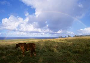 静岡県富士市の安心葬儀場|富士葬祭 富士瓜島の特徴とサービス内容