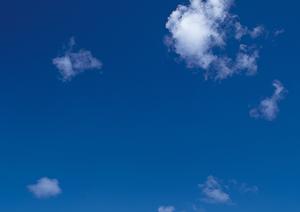 静岡県内で信頼できる葬儀サービス|家族葬・火葬・斎場選びのポイントとおすすめ店舗