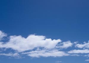 静岡市駿河区の信頼できる家族葬・葬儀場【富士葬祭 聖一色】の特徴と店舗情報