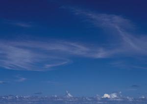 鹿児島で家族葬をするならこちらです