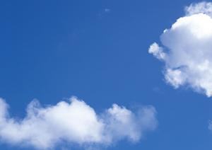 静岡市に根ざした安心の葬儀サービス|富士葬祭 双樹の全容と特徴