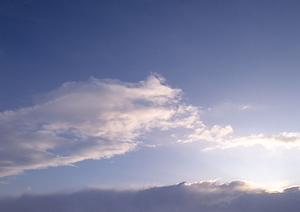 千葉の樹木葬でおすすめできるところは